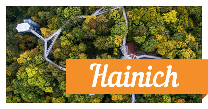 Hainich.jpg