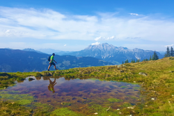 pic_SALZBURGER GIPFEL & KITZBÜHLER ALPEN