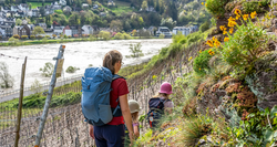 pic_Best of Moselsteig für Familien 8 Tage/ 7 Nächte