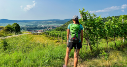 pic_Welterbesteig Wachau mit Charme 8 Tage/ 7 Nächte