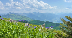 pic_Salzburger Gipfel und Kitzbüheler Alpen 8 Tage/ 7 Nächte