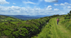 pic_Wicklow Way 8 Tage/ 7 Nächte